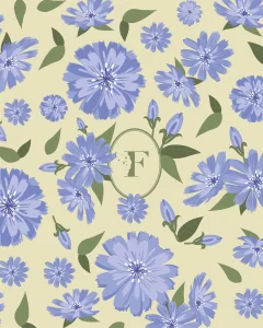 FEUILLETTE_MOTIF_CHICORÉE_COUV